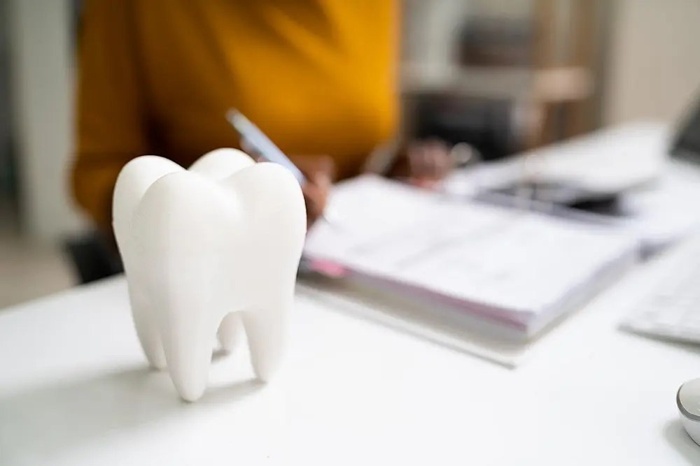 A person in a mustard sweater writes in a notebook at a desk, contemplating the braces cost in Hamilton, with a large tooth model prominently placed in the foreground.